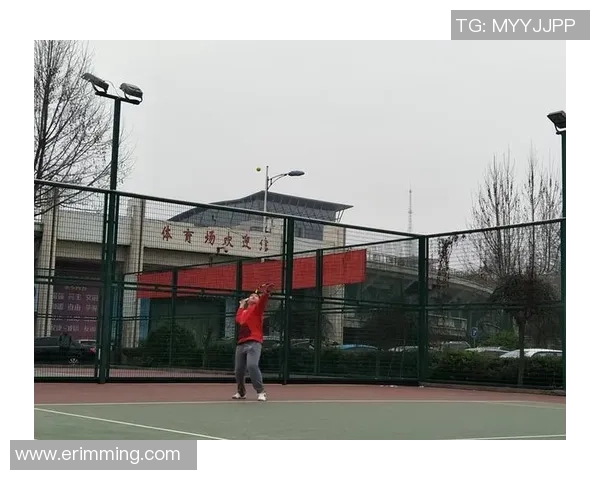 西安网球队在全国网球比赛经验排行榜中荣获第七名的佳绩分析